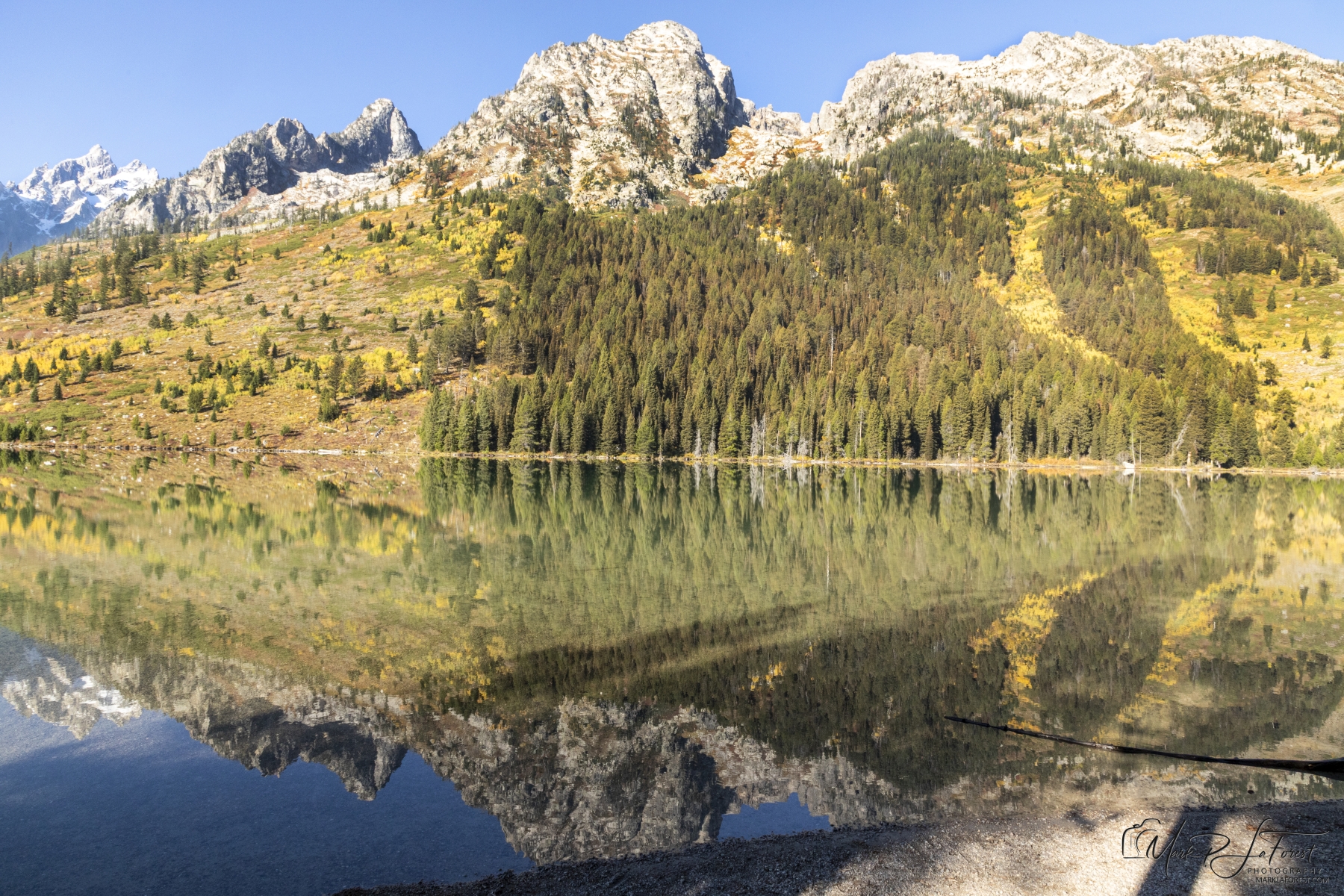 Fall in the Grand Teton National Park 
